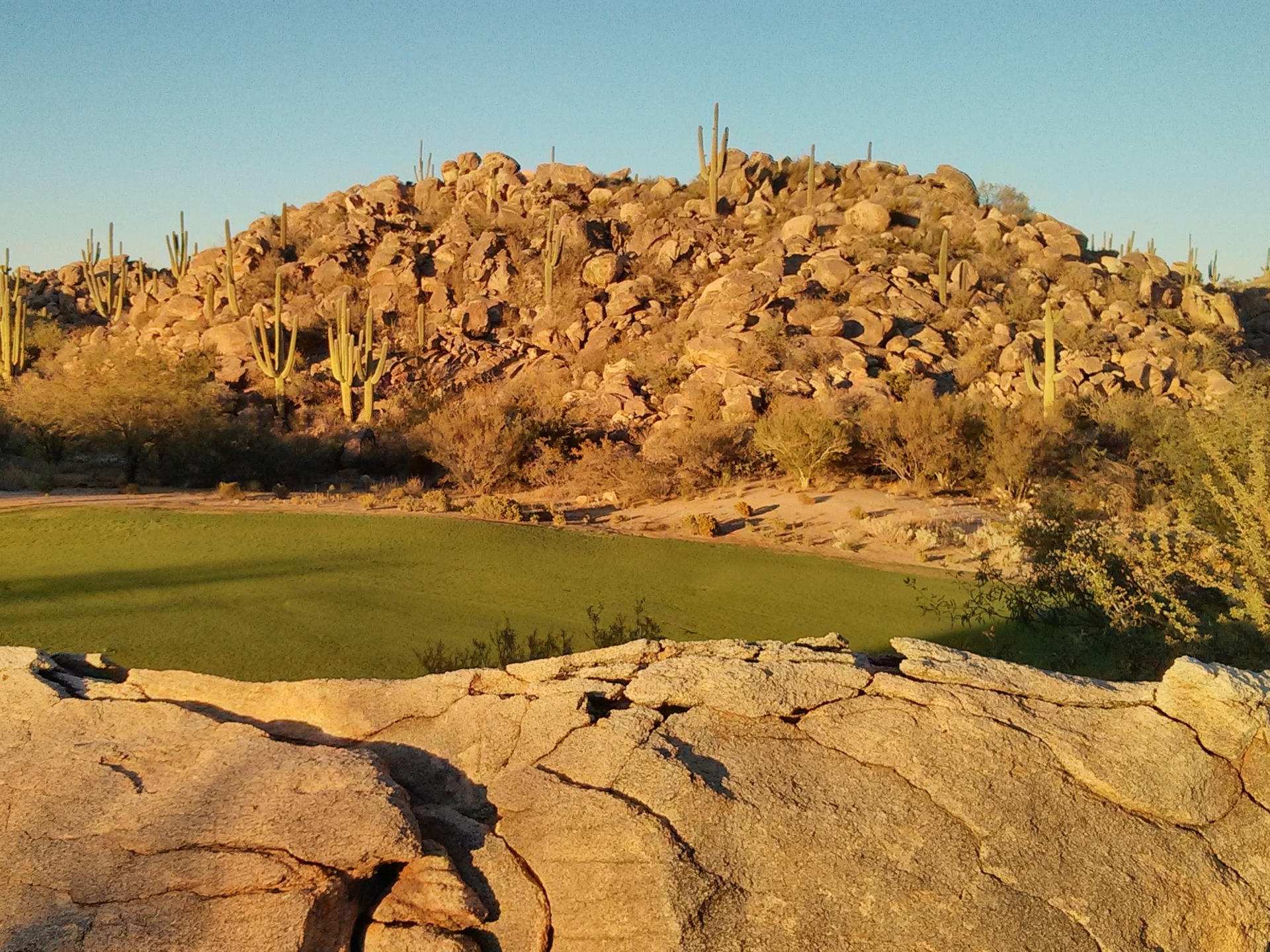 Amazing Views at Stone Canyon Tucson Golf Estates