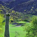 The Gallery at Dove Mountain - View of the green at the base of the valley through the trees on the Golf Community in Tucson, Arizona