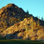 The stone hills spotted with saguaros that give the stone canyon club its iconic name in Tucson Arizona