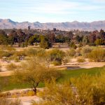 Overlooking the desert fairways at the OMNI Tucson National Golf Course in Tucson, Arizona