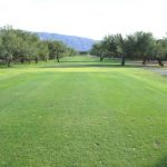 Forty Niner Country Club overlooking a tree-lined fairway of the golf course in tucson arizona