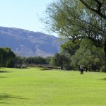 Forty Niner Country Club overlooking a fairway of the golf course in tucson arizona