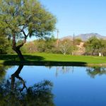 Forty Niner Country Club green by the lake at the golf community in Tucson Arizona