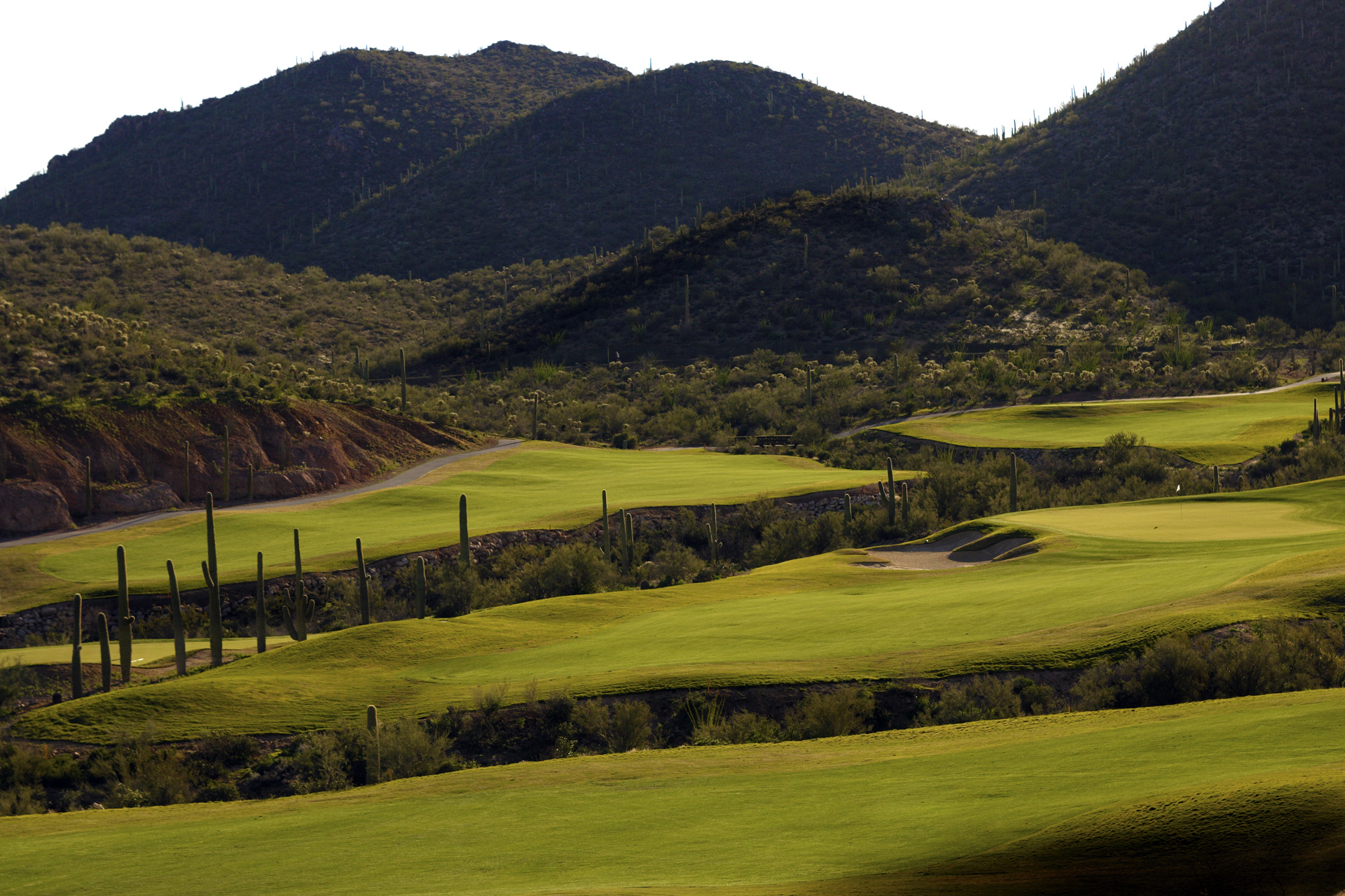Rolling Hills, Tempe, Arizona Golf course information and reviews.