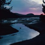 Elk crossing the fire hole river