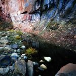 the blue and red rocks of west fork oak creek