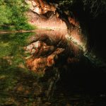 reflection on the water at west fork oak creek