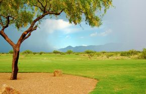 Saddlebrooke Ranch