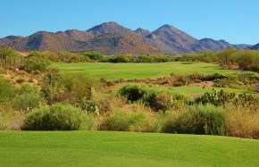 The Highlands at Dove Mountain