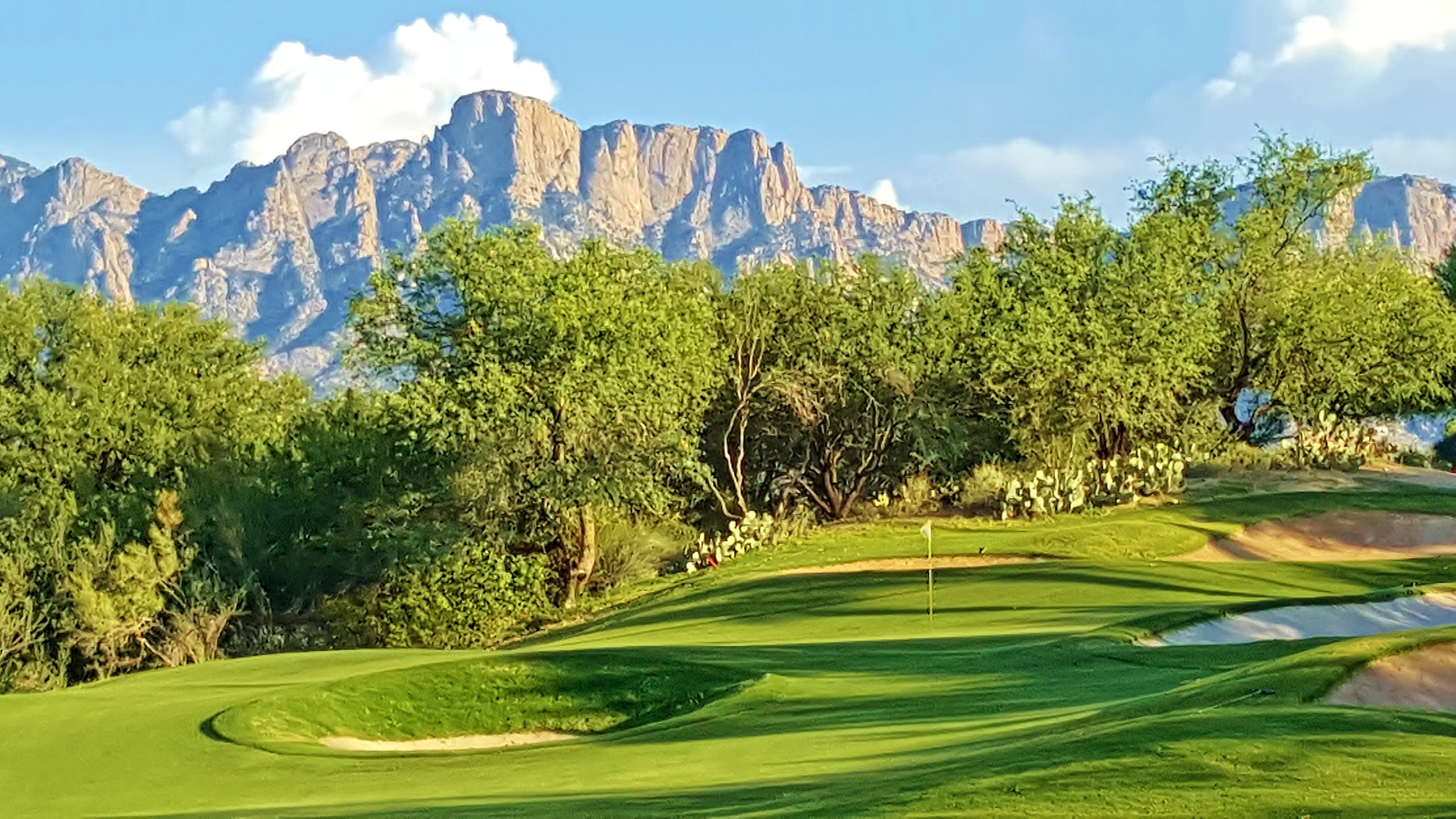 Sun City Oro Valley & The Views Golf Club