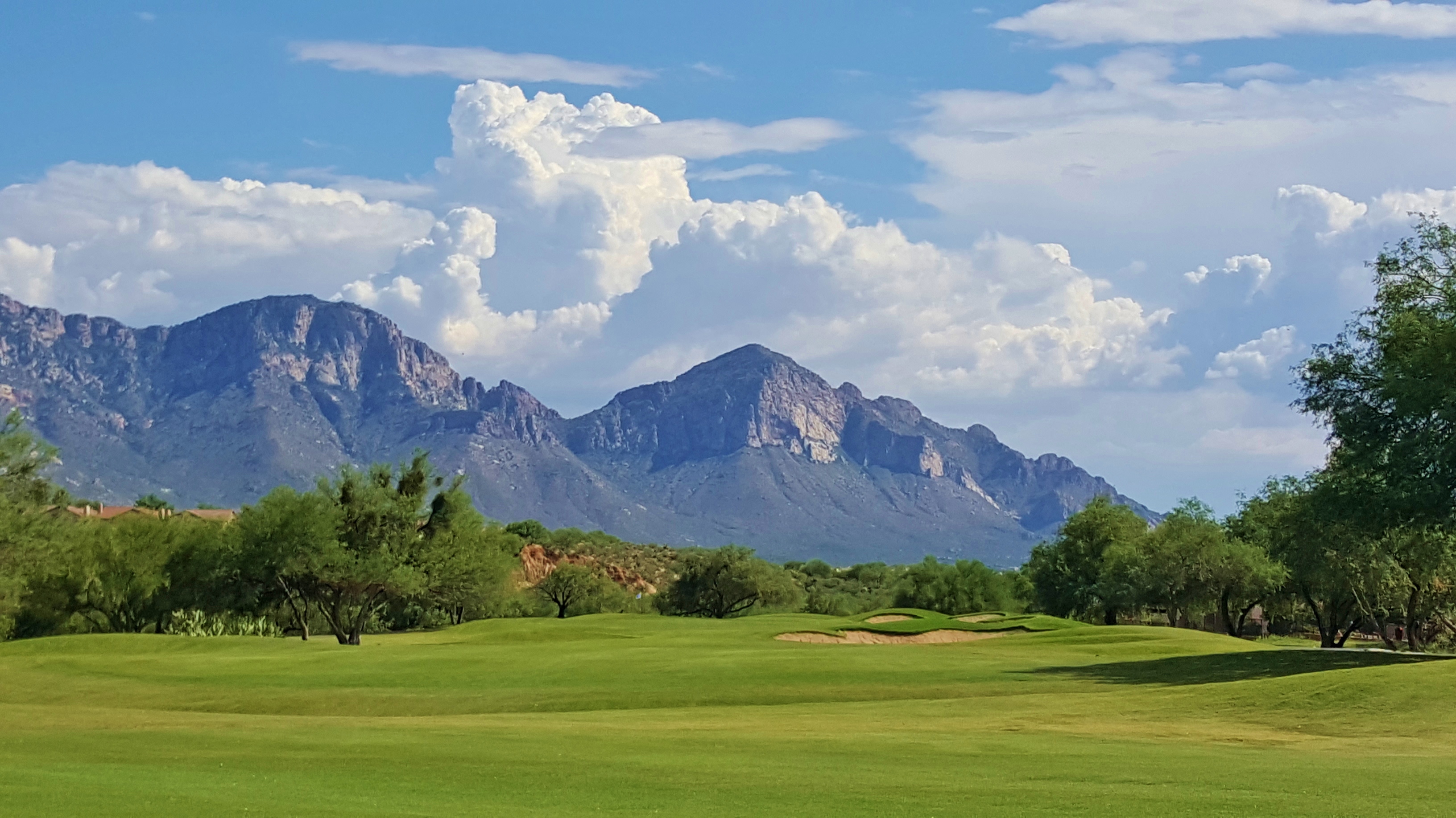 Sun City Oro Valley & The Views Golf Club Tucson Golf Estates